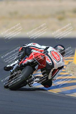 media/May-13-2023-SoCal Trackdays (Sat) [[8a473a8fd1]]/Turn 11 Backside (945am)/